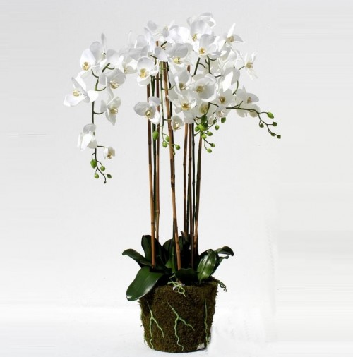 Цветок Орхидеи Orchidee 74 см