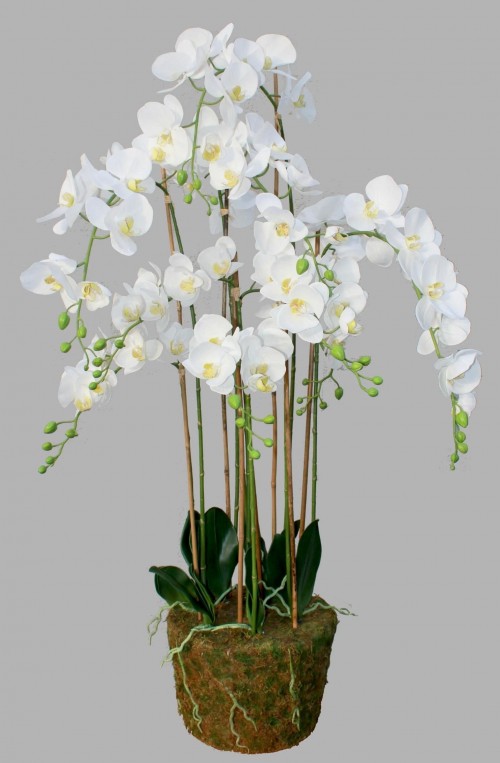 Цветок Орхидеи Orchidee 150 см
