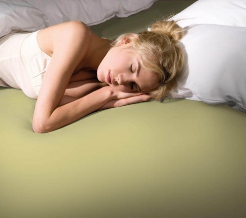 Элитная простынь Bella Donna Jersey 531 Lime 90-200